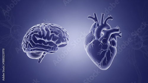 Brain and heart in blue with light effect