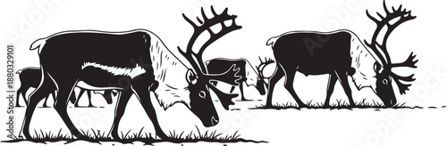 Silhouette of reindeer family walking together in a line