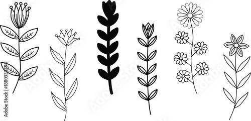Collection of various plant species and floral elements