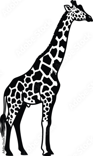 Archers in action silhouette illustration