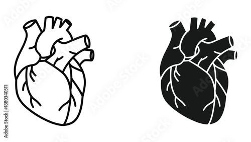 Anatomical illustration of human heart in different styles