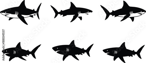 Shark silhouette set, black great white shark shapes, marine predator collection, ocean wildlife icons, dangerous sea animal vector design