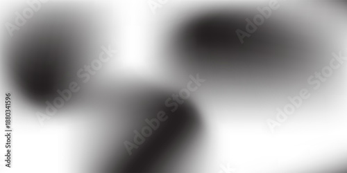 Black and white color background for my cat. Tribute color for my boy cat