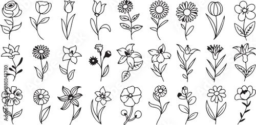 A charming collection of minimalist hand-drawn black and white line art flower illustrations, featuring diverse botanical doodles perfect for elegant design projects and nature-inspired themes