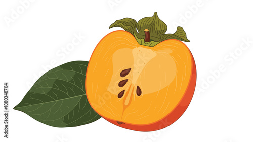 Detailed botanical illustration showcases a halved persimmon fruit with its seeds and stem alongside a single textured green leaf.