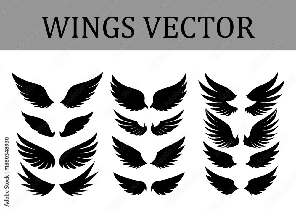 Obraz premium Group of Black Silhouette Wing and Showing Different Styles from Delicate Feathers to Sharp Edges Arranged in Three Vertical Columns on a White Background with a Grey Header Bar Text WINGS
