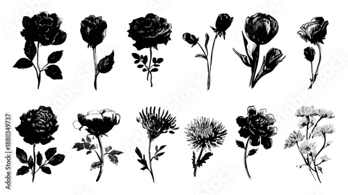 白い背景に手描きで描かれた様々な花のシルエットのベクターイラストセット。透明なデザイン素材として、ヴィンテージ感のあるボタニカルアート。