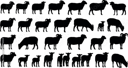 Large Collection of Sheep Silhouettes Featuring Rams with Horns Ewes and Lambs in Various Grazing and Standing Poses Isolated Vector