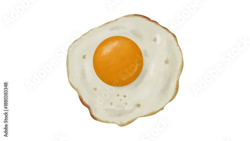 Fried Egg Sunny Side Up Food Illustration