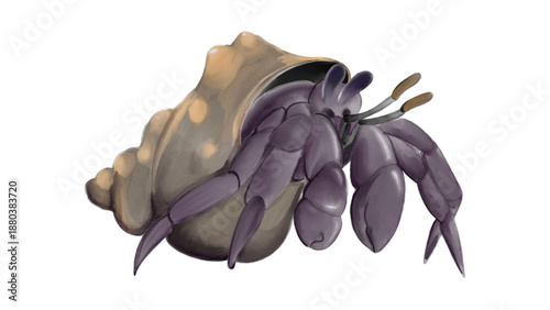 Realistic Hermit Crab with Spotted Sea Shell Isolated on White Background