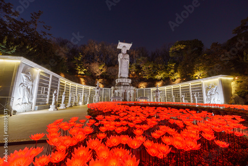 Wallpaper Mural Bongunsa Temple in Gangnam District, Seoul, South Korea, is adorned with colorful Lantern during the winter. Torontodigital.ca