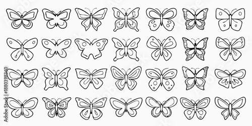 A collection of detailed butterfly illustrations in a black and white design