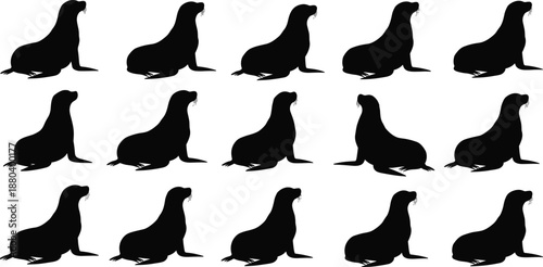 Sea lion silhouette pattern, animal wildlife illustration, marine mammal design, identical shapes, visual puzzle, spot difference, black outline, vector art