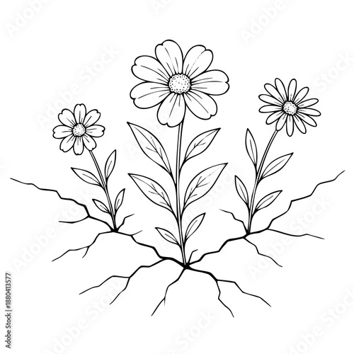 Simple vector line art of three flowers growing out of cracked ground. Minimalist conceptual illustration of life, growth, resilience, and environmental recovery.