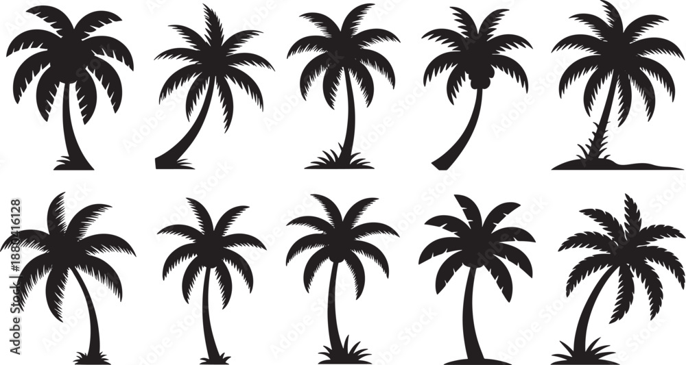 Fototapeta premium Black palm tree silhouettes on white background palm trees