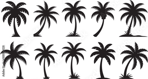 Black palm tree silhouettes on white background palm trees
