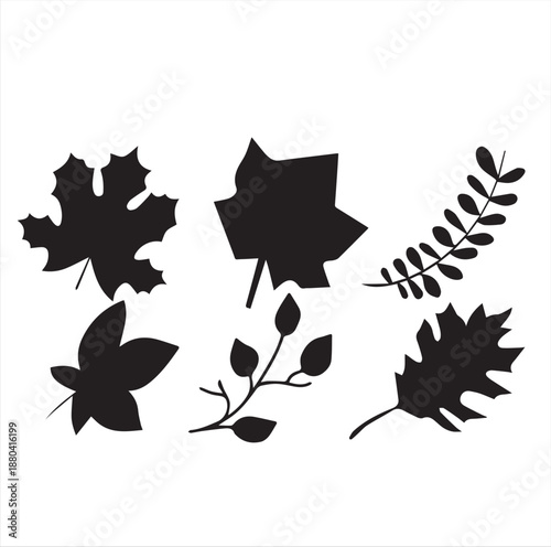 maple leaf silhouette vector illustration
