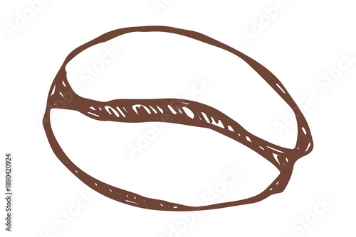 Hand drawn fresh roasted coffee bean Arabica robusta seed doodle Single element for print, web, design, decor
