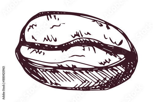 Hand drawn fresh roasted coffee bean Arabica robusta seed doodle Single element for print, web, design, decor