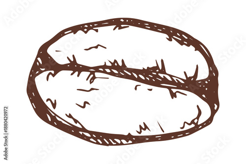 Hand drawn fresh roasted coffee bean Arabica robusta seed doodle Single element for print, web, design, decor