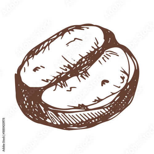Hand drawn fresh roasted coffee bean Arabica robusta seed doodle Single element for print, web, design, decor