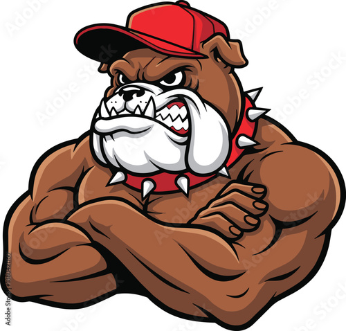 Tough bulldog mascot illustration, muscular cartoon dog wearing cap and spiked collar, aggressive vector animal character for sports teams and branding