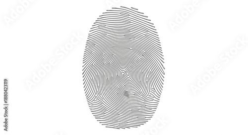 fingerprint pattern closeup