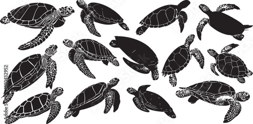 Wallpaper Mural Vector illustration set of sea turtle silhouettes designed as clean solid black shapes suitable for illustration use. Torontodigital.ca