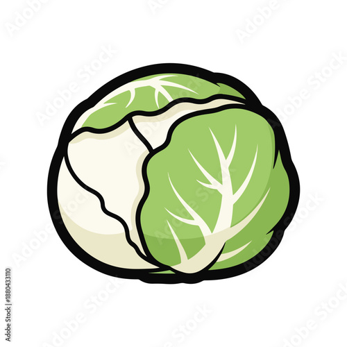 A cartoonish illustration of a green and white cabbage