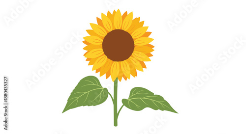 Bright yellow sunflower with a brown center and green leaves on a long stem shown in a simple and clean colored illustration.