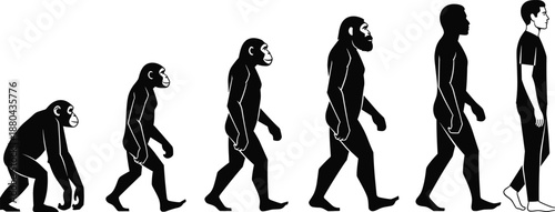 Evolution, of, man, silhouette, vector, sequence, from, ape, to, modern, human, standing, walking, progress, development, history, science, concept, isolated, background.