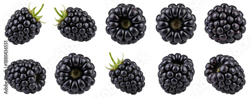 Fresh Blackberries Collection