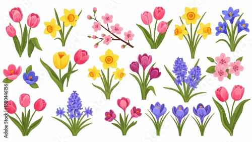 Collection of Spring Flowers Tulips Daffodils Hyacinths Crocuses.