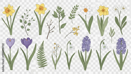 Spring Flowers Collection Botanical Elements Isolated.