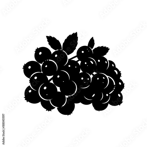 a cluster of blackberries with leaves on top