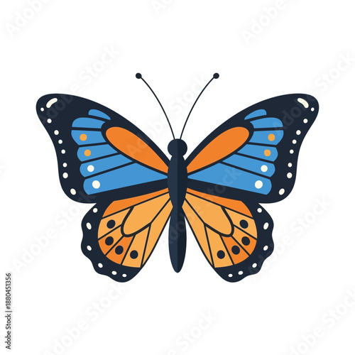 a colorful butterfly with blue and orange wings