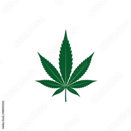 A simple illustration depicting a single green cannabis leaf on white