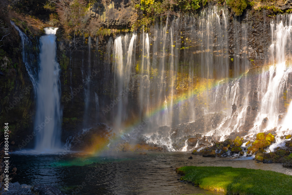 Naklejka premium Shiraito Falls in autumn colors in Fujinomiya, Shizuoka Prefecture