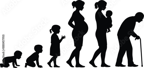 human, life, cycle, silhouettes, family, generations, aging, growth, motherhood, pregnancy, childhood, adulthood, elderly, evolution, people, stages, black, illustration, isolated, white