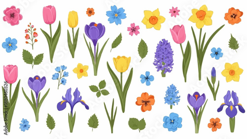 Collection of Spring Flowers Tulips Crocus Daffodils Hyacinths Irises.
