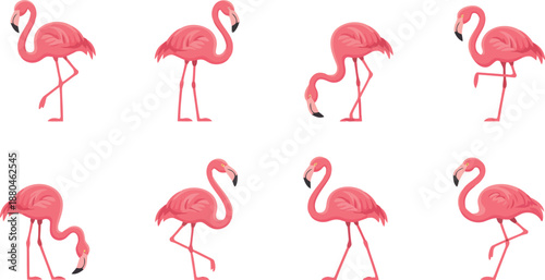 A delightful array of eight vibrant pink flamingos showcases graceful poses against a pure white backdrop
