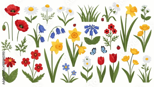 Collection of Spring Flowers and Butterflies.