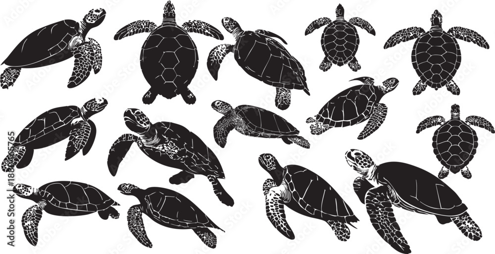 custom made wallpaper toronto digitalVector illustration set of sea turtle silhouettes designed as clean solid black shapes suitable for illustration use.