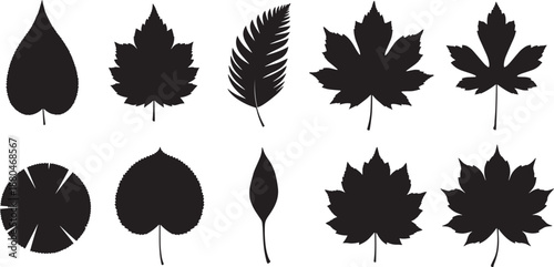 Autumn leaves vector silhouettes set various shapes of tree foliage