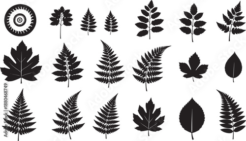Natural foliage leaf silhouettes collection for organic design work