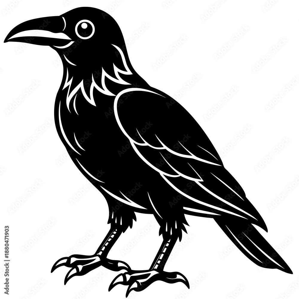Obraz premium crow on a branch