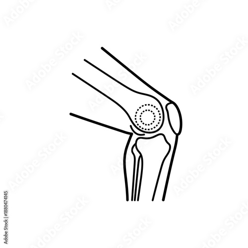 Human Knee Joint Anatomy Illustration – Leg Bone Medical Line Art Diagram