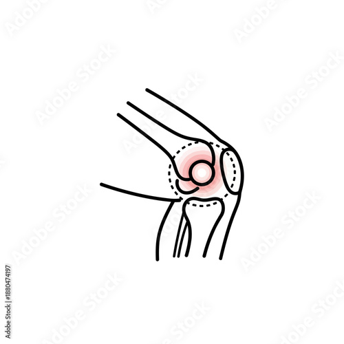 Human Knee Joint Anatomy Illustration – Leg Bone Medical Line Art Diagram