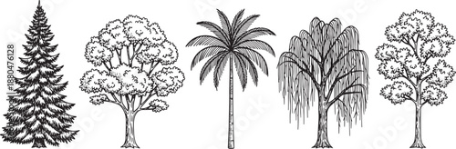 Variety of trees in hand drawn sketch style on checkered background