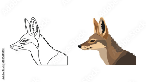 Two distinct styles illustrating the head profile of a black backed jackal one as a simple outline drawing and the other fully colored vector graphic